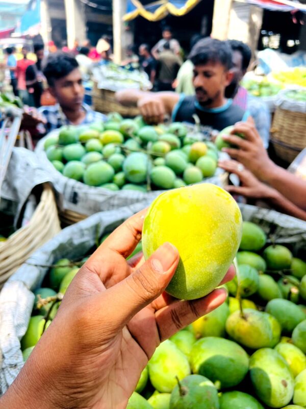 হিমসাগর আম - রাজশাহীর খাঁটি স্বাদ - Image 6